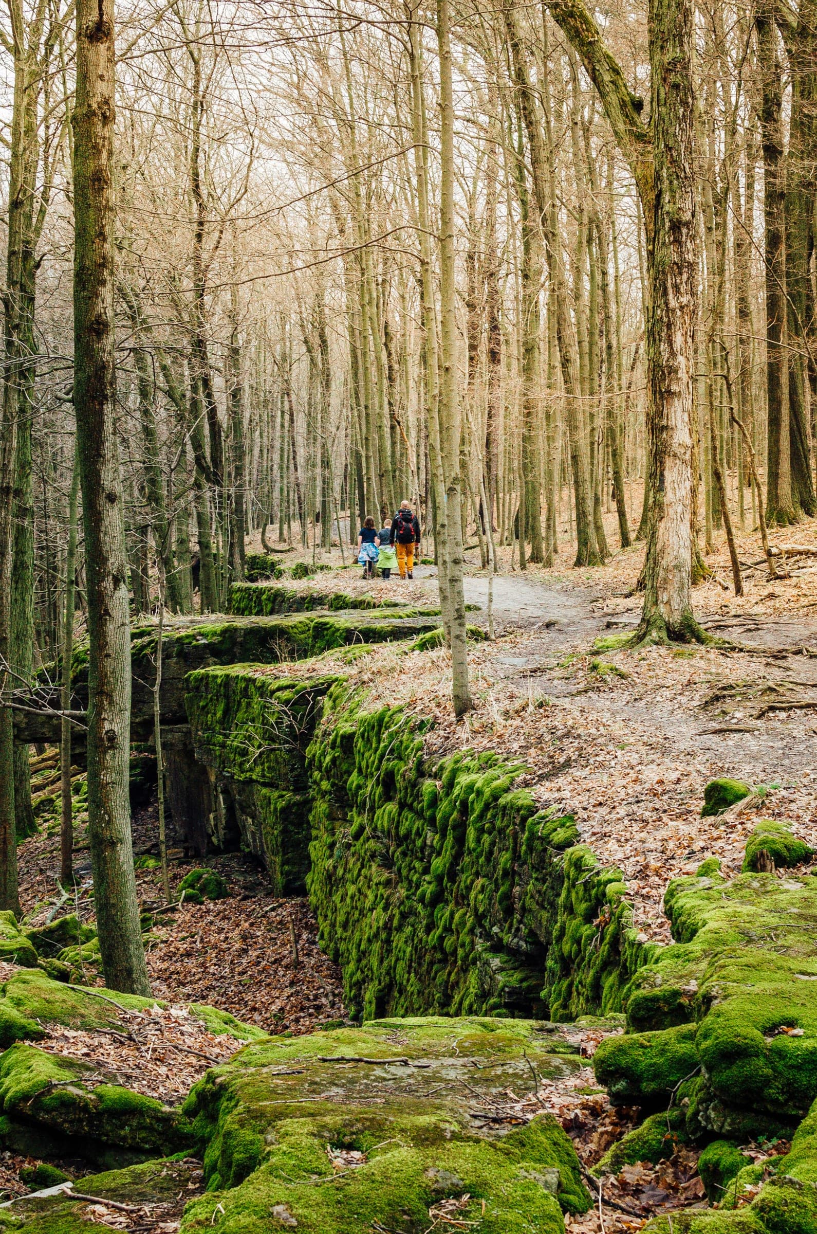 Pure Nature, at Your Doorstep